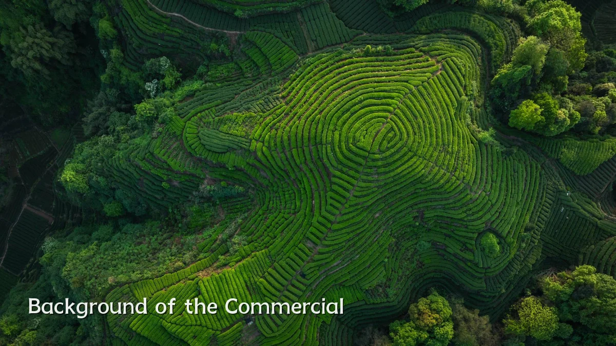 Background of the Commercial