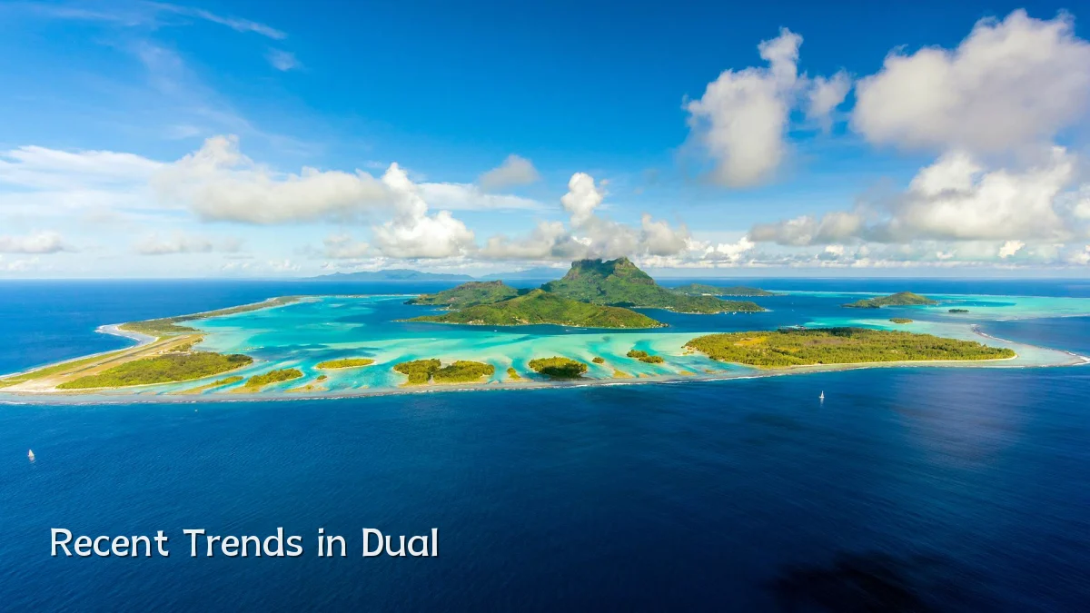 Recent Trends in Dual