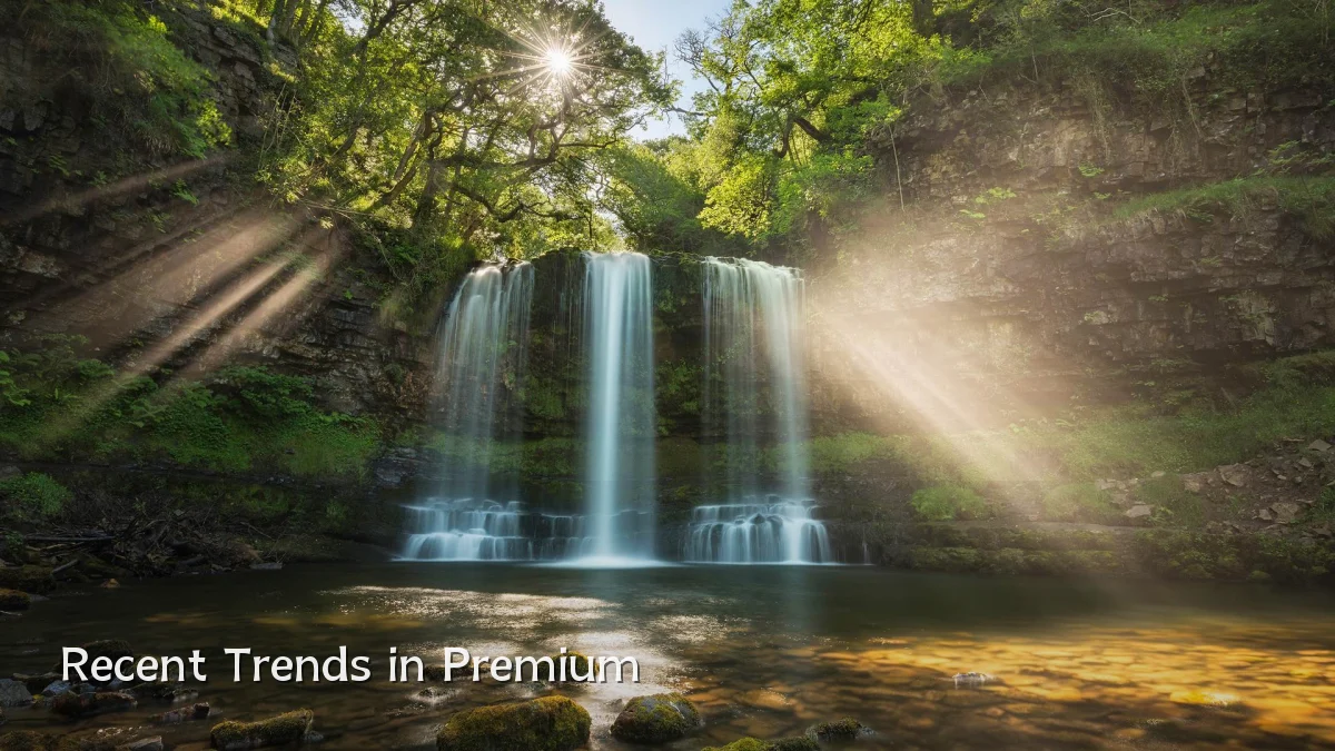 Recent Trends in Premium