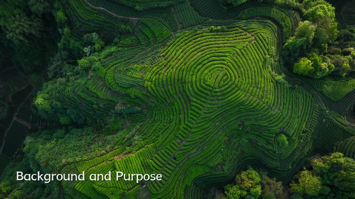Background and Purpose