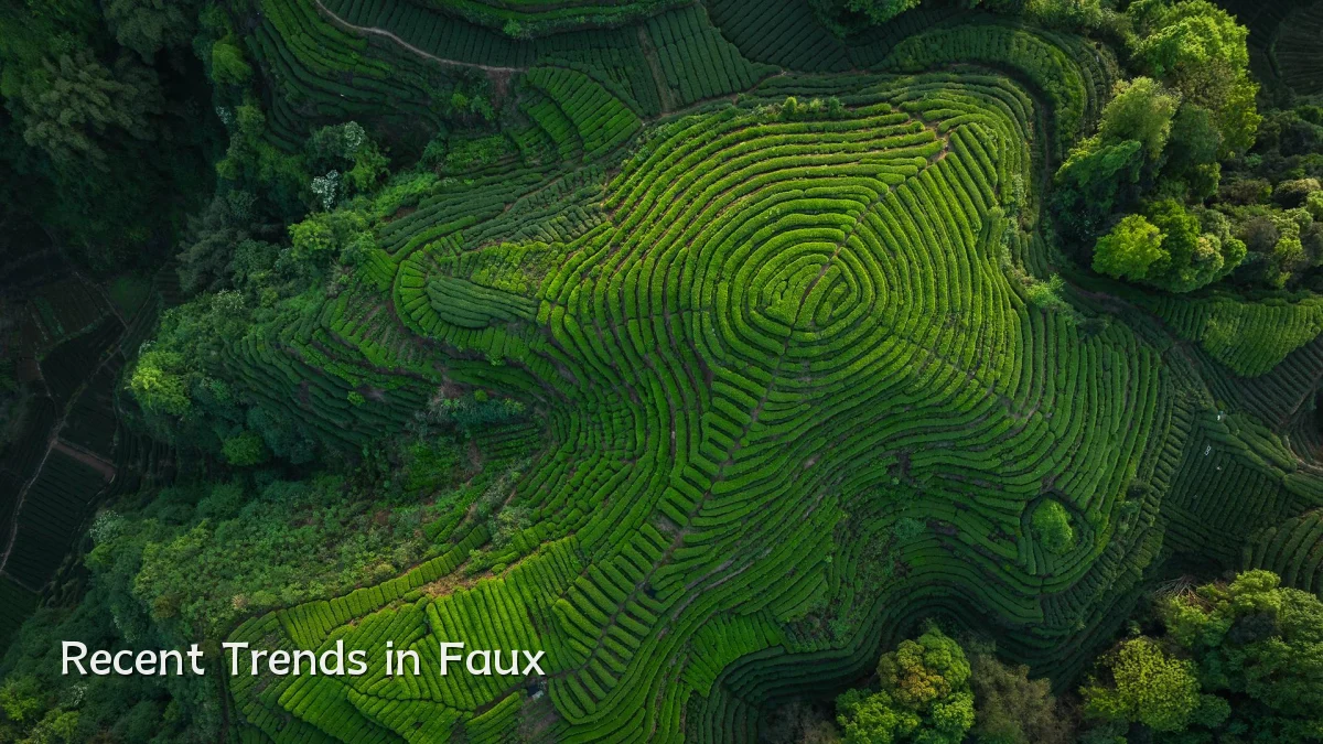 Recent Trends in Faux