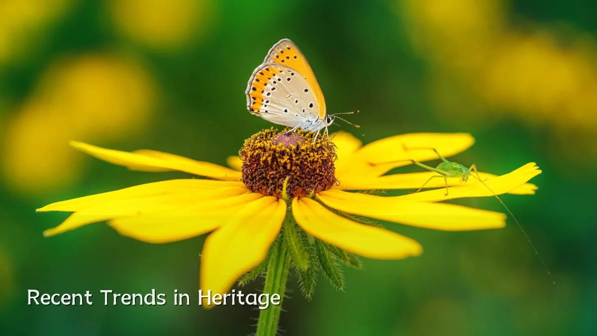 Recent Trends in Heritage