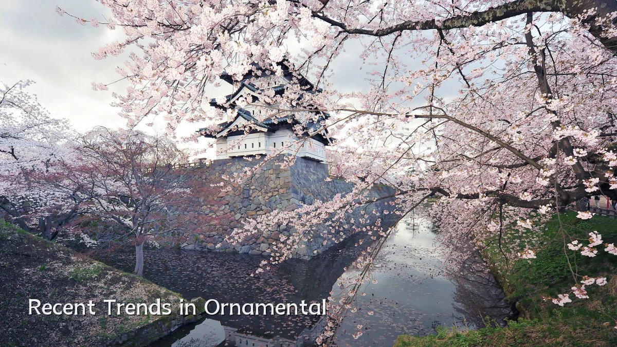 Recent Trends in Ornamental